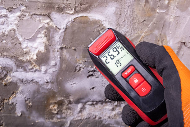 Professional Mold Remediation in Merlin, OR